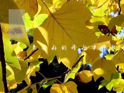 东莞好的婚姻律师找谁 东莞好的婚姻律师找谁