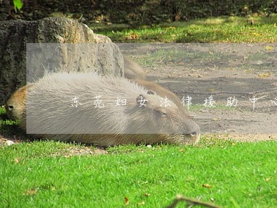 东莞妇女法律援助中心