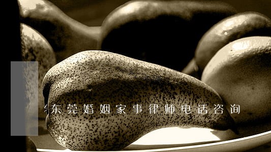 东莞婚姻家事律师电话咨询 东莞婚姻家事律师电话咨询
