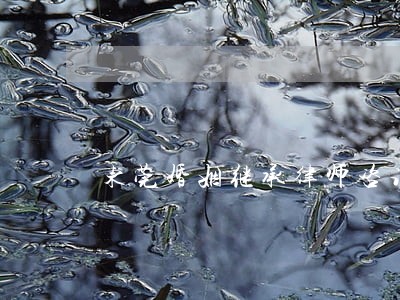 东莞婚姻继承律师咨询
