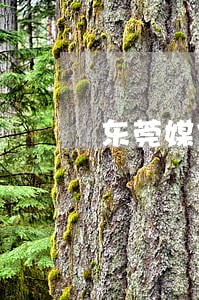 东莞媒体曝光如何联系 东莞媒体曝光如何联系