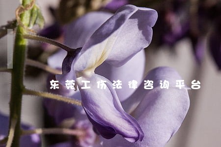 东莞工伤法律咨询平台 东莞工伤法律咨询平台