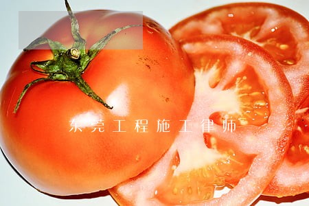 东莞工程施工律师 东莞工程施工律师