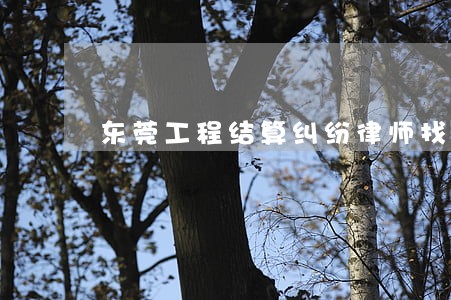 东莞工程结算纠纷律师找哪家的好 东莞工程结算纠纷律师找哪家的好