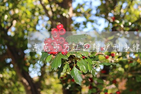 东莞市万江区辩护刑事律师 东莞市万江区辩护刑事律师