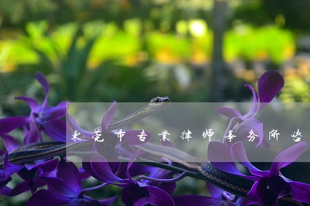 东莞市专业律师事务所咨询服务 东莞市专业律师事务所咨询服务