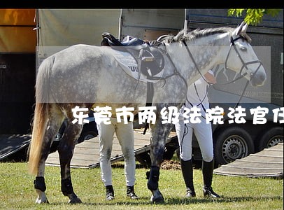 东莞市两级法院法官任命 东莞市两级法院法官任命