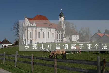 东莞市中堂镇属于哪个法院管辖 东莞市中堂镇属于哪个法院管辖