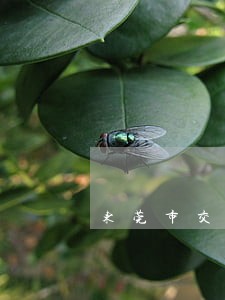 东莞市交通事故理赔律师找谁 东莞市交通事故理赔律师找谁