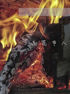 东莞市人大内务司法委员会 东莞市人大内务司法委员会