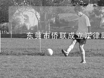 东莞市侨联成立法律顾问委员会 东莞市侨联成立法律顾问委员会