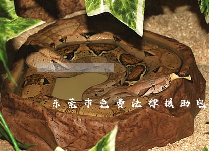 东莞市免费法律援助电话 东莞市免费法律援助电话