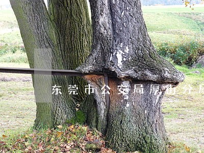 东莞市公安局厚街分局 东莞市公安局厚街分局