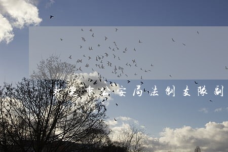 东莞市公安局法制支队副支队长 东莞市公安局法制支队副支队长