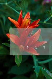 东莞市农民工法律援助站 东莞市农民工法律援助站