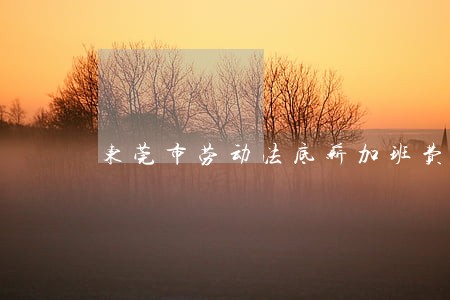 东莞市劳动法底薪加班费 东莞市劳动法底薪加班费