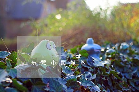 东莞市南城区 东莞市南城区