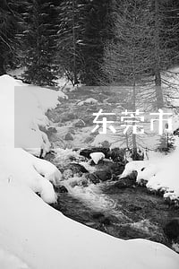 东莞市南城区谋杀罪律师 东莞市南城区谋杀罪律师