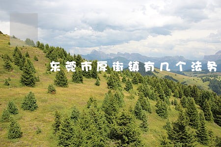 东莞市厚街镇有几个法务部 东莞市厚街镇有几个法务部