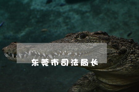 东莞市司法局长 东莞市司法局长