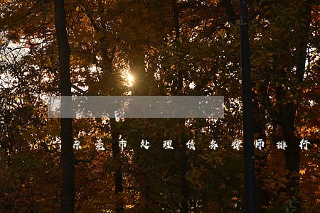 东莞市处理债务律师排行 东莞市处理债务律师排行