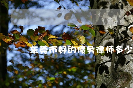 东莞市好的债务律师多少钱 东莞市好的债务律师多少钱