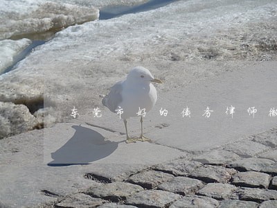 东莞市好的债务律师微信咨询 东莞市好的债务律师微信咨询