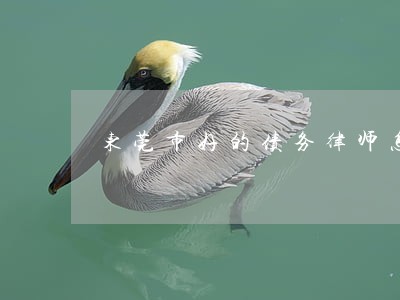 东莞市好的债务律师怎么委托