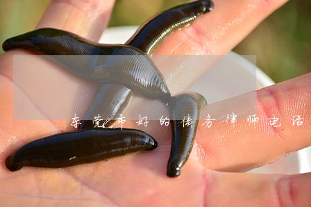 东莞市好的债务律师电话咨询 东莞市好的债务律师电话咨询