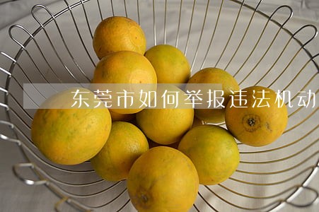 东莞市如何举报违法机动车