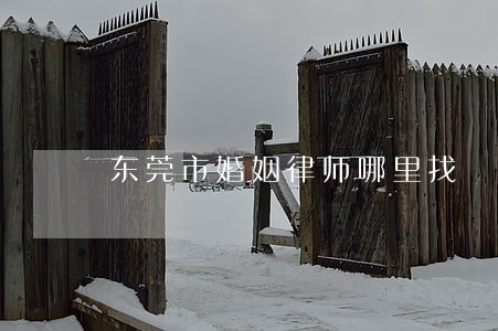 东莞市婚姻律师哪里找