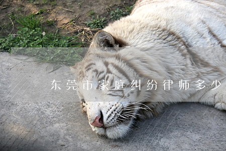 东莞市家庭纠纷律师多少钱 东莞市家庭纠纷律师多少钱