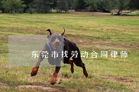 东莞市找劳动合同律师 东莞市找劳动合同律师