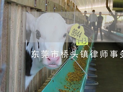 东莞市桥头镇律师事务所地址 东莞市桥头镇律师事务所地址