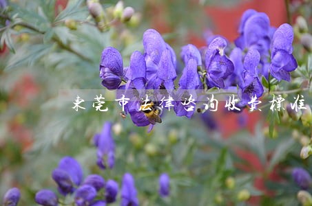 东莞市法律咨询收费标准 东莞市法律咨询收费标准