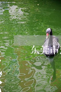 东莞市法律援助案件