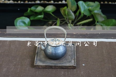 东莞市法律顾问公司 东莞市法律顾问公司