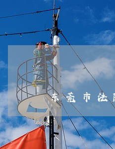 东莞市法院办事员收入