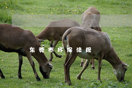 东莞市环保法规 东莞市环保法规