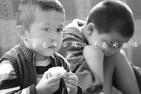 东莞市石碣法院咨询电话 东莞市石碣法院咨询电话