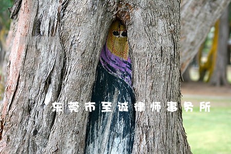 东莞市至诚律师事务所 东莞市至诚律师事务所