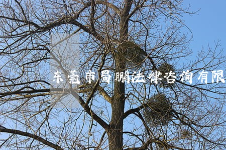 东莞市蜀鹏法律咨询有限公司 东莞市蜀鹏法律咨询有限公司