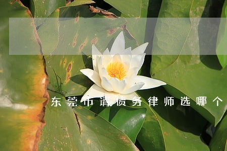东莞市请债务律师选哪个 东莞市请债务律师选哪个