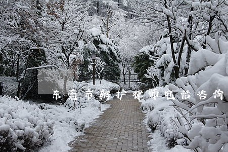 东莞市辩护律师电话咨询 东莞市辩护律师电话咨询