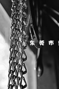 东莞市重大刑事案件律师在线