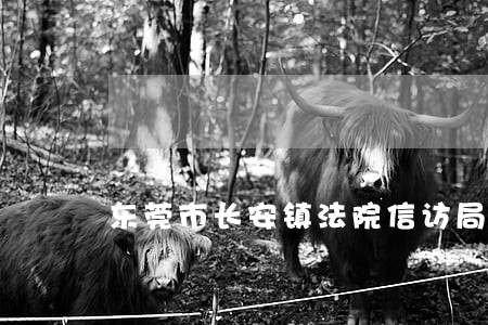 东莞市长安镇法院信访局