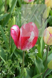 东莞常平法律援助律师事务所 东莞常平法律援助律师事务所