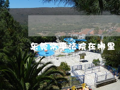 东莞常平法院在哪里 东莞常平法院在哪里