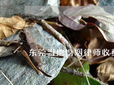 东莞当地婚姻律师收费 东莞当地婚姻律师收费