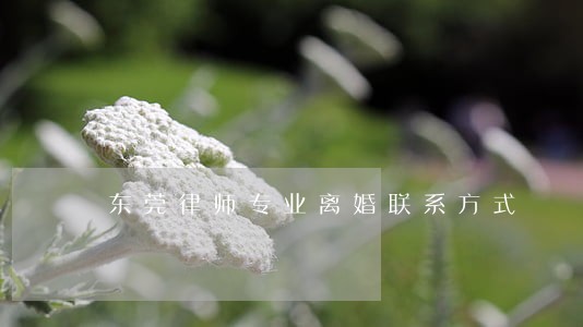 东莞律师专业离婚联系方式 东莞律师专业离婚联系方式